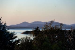 Faraway on Flinders Island - - 6