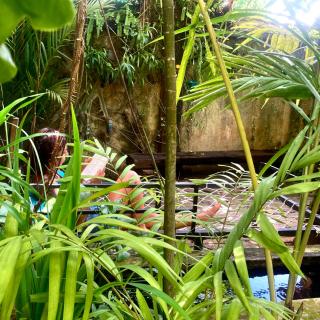 Cycling Backpacker Hostel & Cafe - Unawatuna - 3