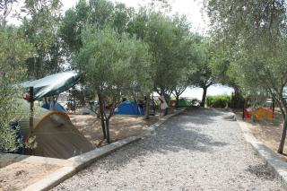 Camping Amanti Del Mare - Palinuro - 1