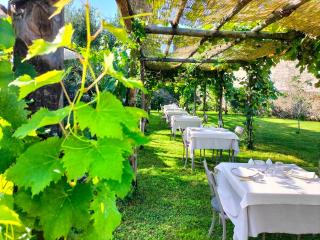Badia Giulia Prestigious Historical B&B, Camaiore - Adults Only - No Pets - Camaiore - 3