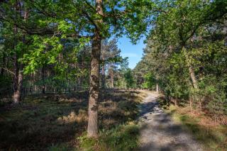 Hotel Woudschoten - 4