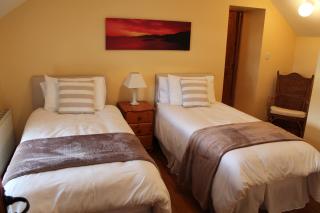 Moynure House Boutique B&B & Separate Two bedroom Chalet - Athlone - 9