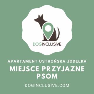 Apartament Ustrońska Jodełka z Balią i Ogrodem-Nadrzeczna - 1