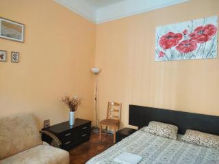 APARTMENT KOSTUSKRY str. - Lviv - 0
