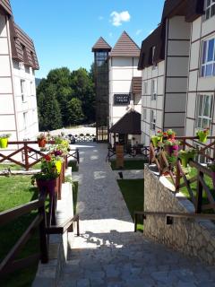 A67 Kraljevi Čardaci - Kopaonik - 1