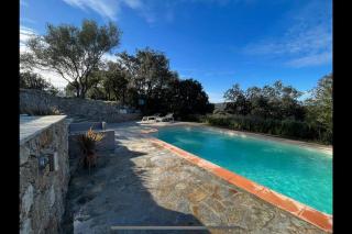 Maison Jardin d'Agrumes - Lozari - Belgodère - 4