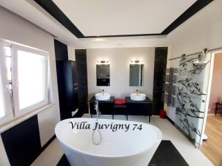 Villa 5*, 15 personnes, Piscine à 20 min de Genève - Juvigny - 2