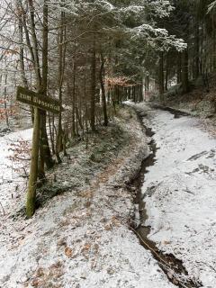 Ferienwohnung Vierländereck nahe Winterberg - Elpe - 3