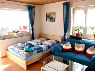 CasaJansen - Große Wohnung im Dreistädte-Eck - Nuremberga - 0