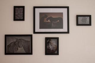 Le Case di Sara Parking and two rooms In the Historic Center - 7