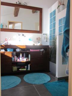 Charmante Bastide 4 chambres avec piscine - Draguignan - 6