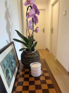 Adelaide al Borgo. - 1