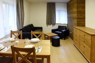 EFI ApartHotel Horní Lipová - Lipova Lazne - 6