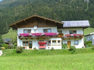 Ferienwohnung Biechl-Hauser Doris - Sankt Ulrich am Pillersee - 8