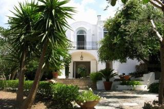 Luxury Villa Zaffiro - Pool, Garden and Sea View - Anacapri - 0