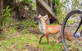 Maribell Appartement - 1