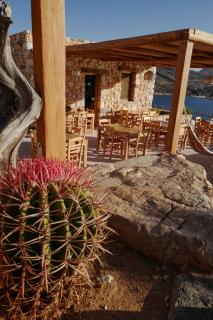 Phisis Nature Retreat - Donoussa - 3