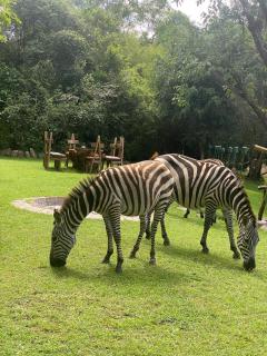 Exploreans Mara River Camp - 5