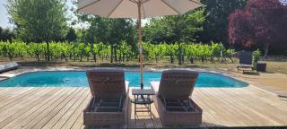 La Vigneraie de Laura - 5