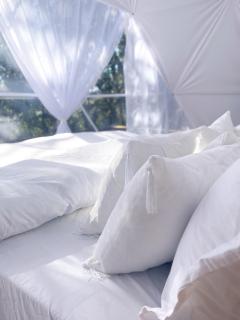 La Cupula, Hotel Bolha em Urubici, Sob o Encanto de um Domo Geodésico, Glamping - Urubici - 2