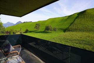 GreenView Appartement - Wiesing - 8