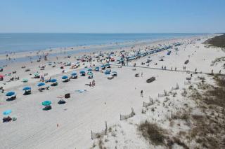 Beach it up @ 209 North Shore Place! - Hilton Head Island - 0