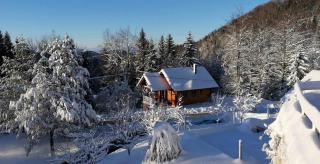Ica - hišica v hribih - Kamnik - 9