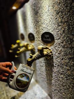 Fini-Resort Badenweiler - 4