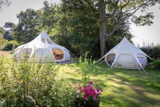 Stargazer Glamping UK Andromeda 7 People - Ross on Wye - 8
