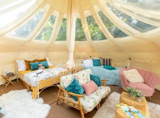 Stargazer Glamping UK Andromeda 7 People - Ross on Wye - 9