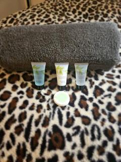 Leopard in Dutton Warrington - Warrington - 2