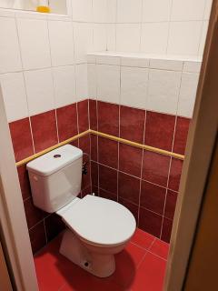 Apartmán u Petrů 1 - Jáchymov - 8