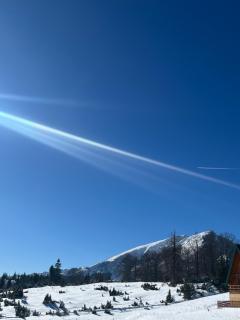 Apartments Orchidea - 5