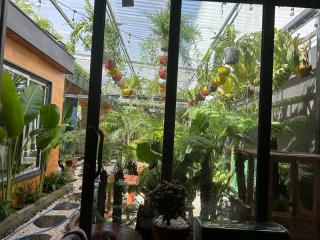 Kim Đồng homestay - Buôn Enao - 6