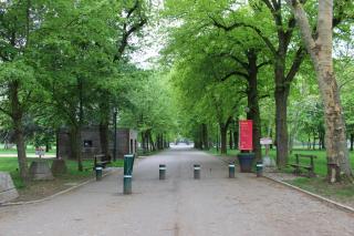 La Pépinière Victoria - Canal & Pépinière -50m2 - Nancy - 1