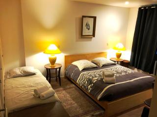 La Pépinière Victoria - Canal & Pépinière -50m2 - Nancy - 9