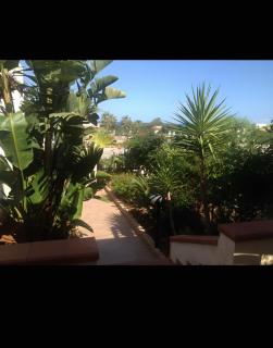 Le Palme - San Vito lo Capo - 9