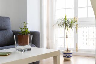 Apartamento Jacaranda - Málaga - 7