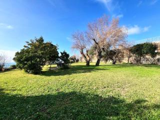 Wyndcliffe - Anzio - 1