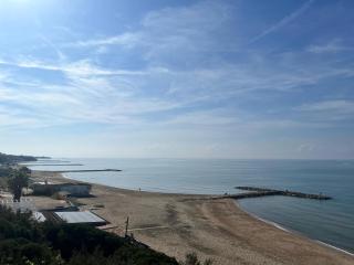 Wyndcliffe - Anzio - 4