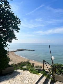 Wyndcliffe - Anzio - 9