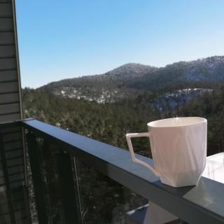 Zmaj apartman - Divčibare - 5