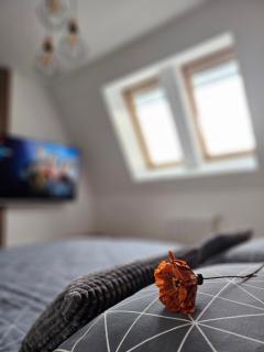Apartman MAA - Tuzla - 5