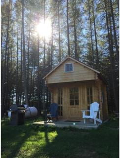 Brand new, private oasis on 18 acres in Erin - Erin - 6