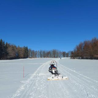 Landhotel Waldschlößchen mit Gaststube - 6