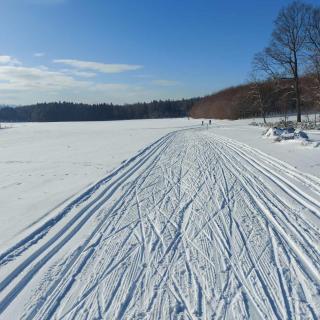 Landhotel Waldschlößchen mit Gaststube - Sohland - 4