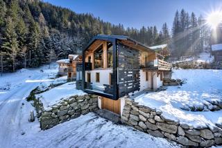 Chalet Green Forest - Chamonix - 3