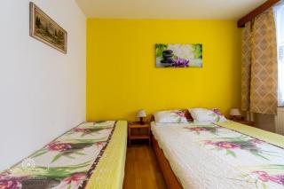 Apartmán Palenica - 4