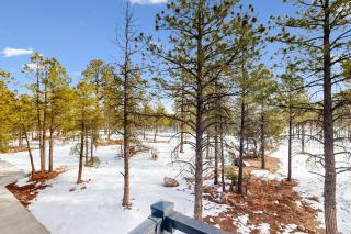 Ponderosa Peaks Retreat - Flagstaff - 7