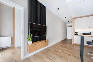 Krakowiak Apartment 65 - 3